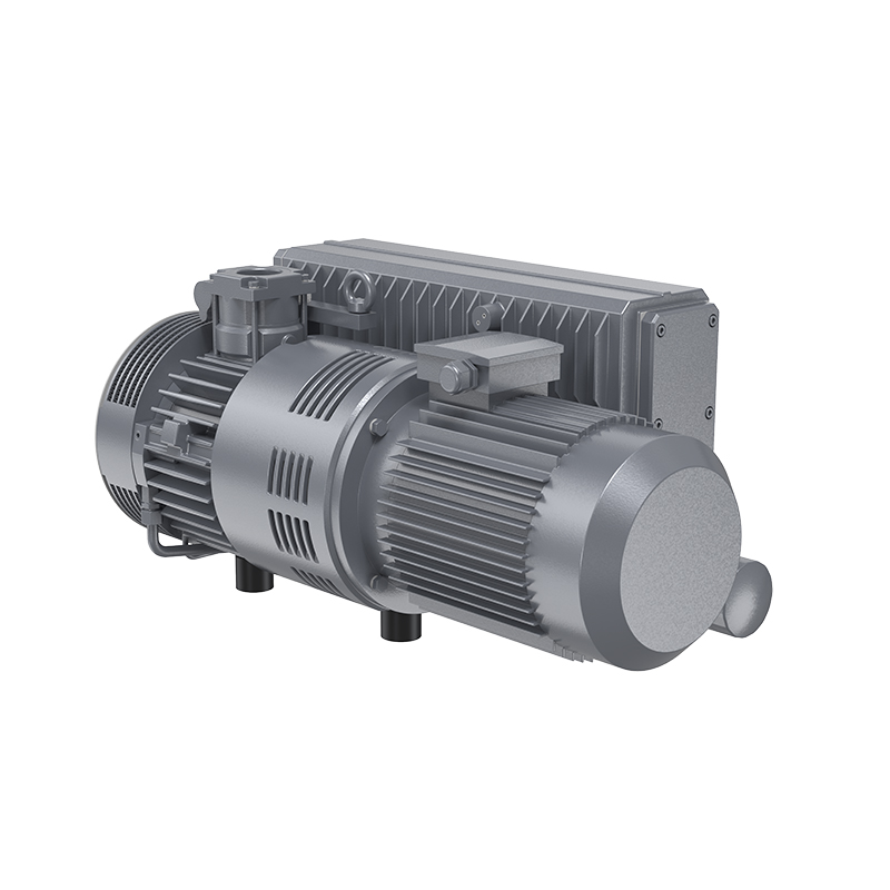 Single-stage directly-coupled rotary vane vacuum pump